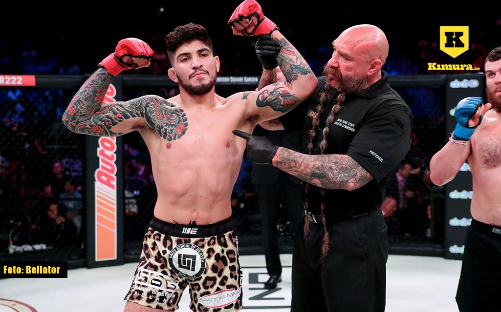 Dillon Danis