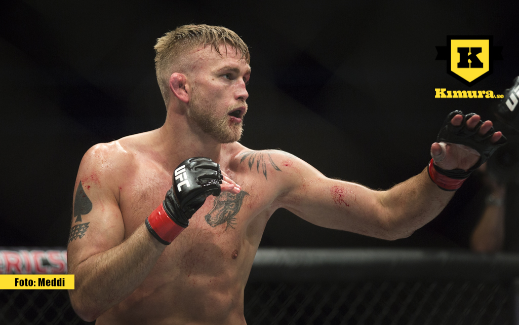 Alexander Gustafsson i match