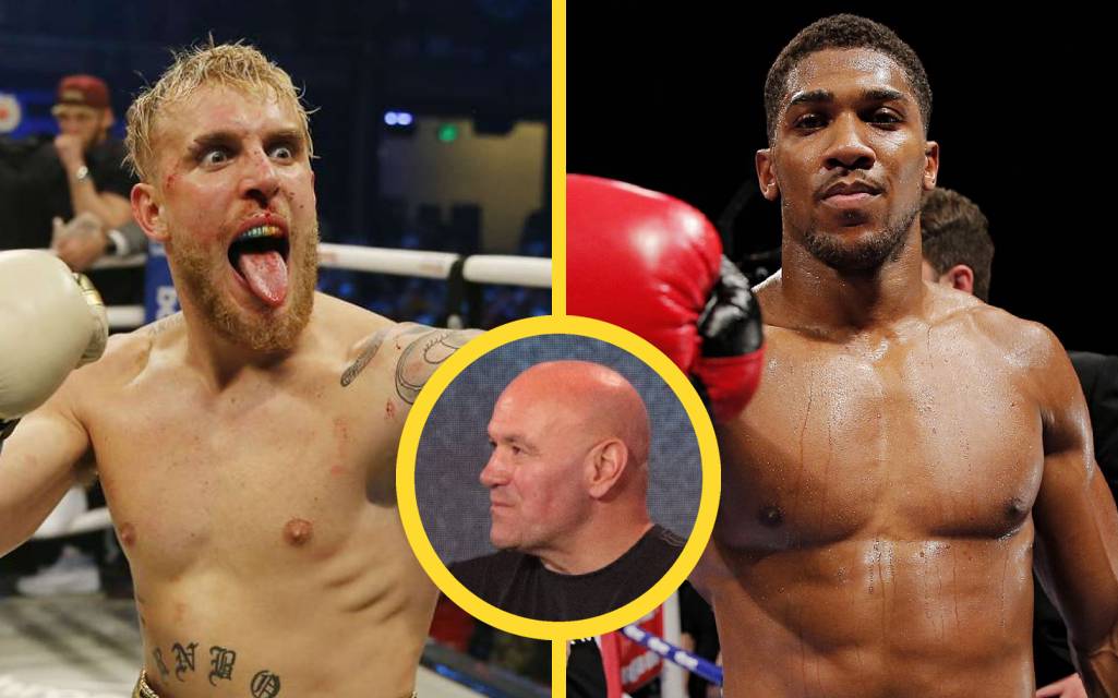 Dana White om Jake Paul och Anthony Joshua