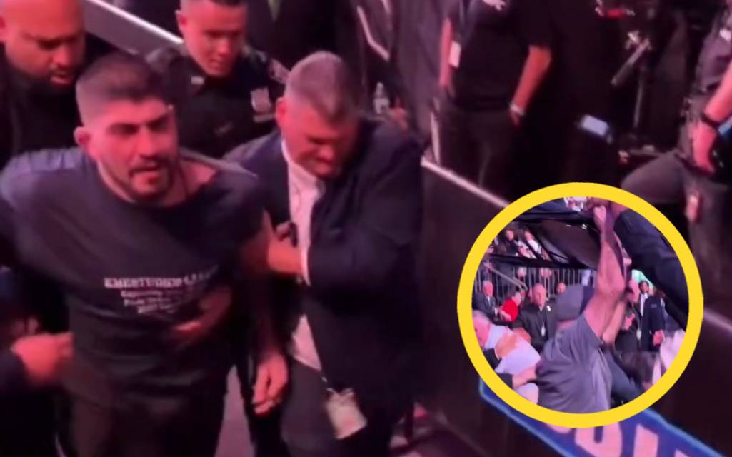 Dillon Danis portad från UFC